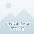 玄学大师的开挂日常云盘